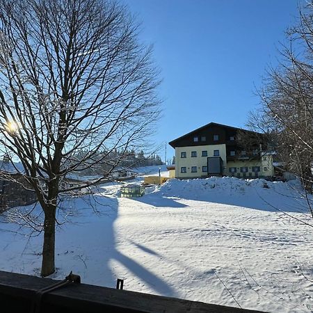 Mitterdorf Almberg X29 Apartman Mitterfirmiansreut Kültér fotó