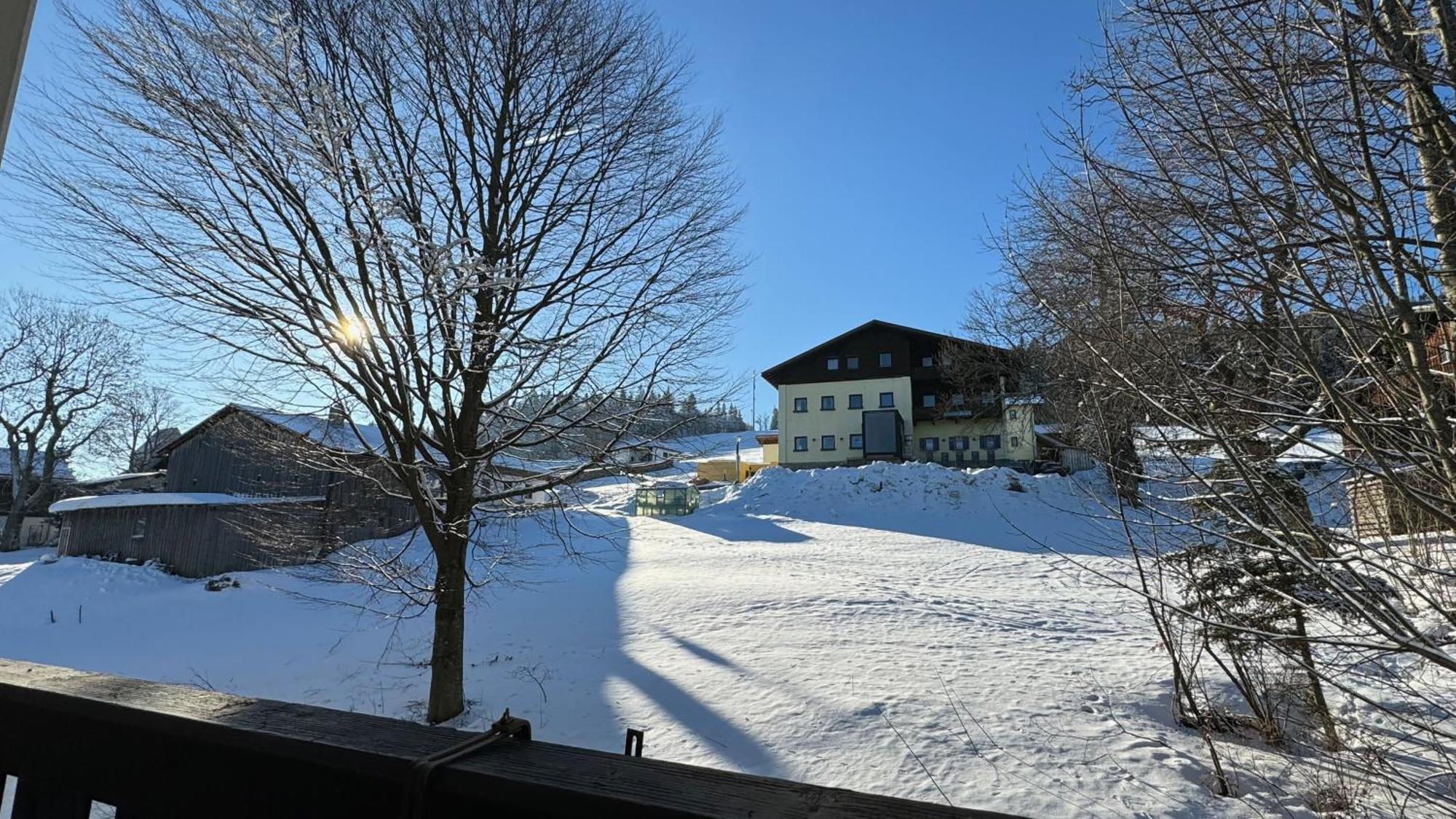 Mitterdorf Almberg X29 Apartman Mitterfirmiansreut Kültér fotó
